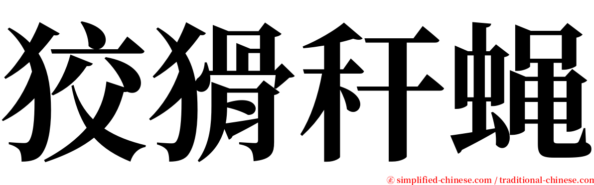 狡猾秆蝇 serif font