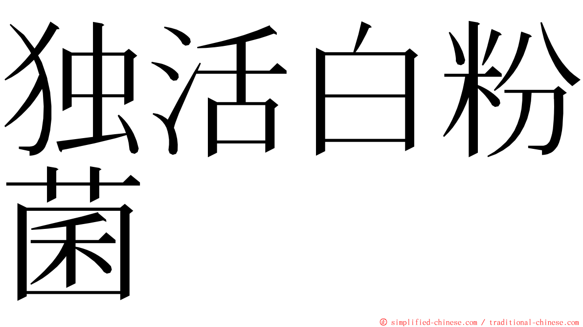 独活白粉菌 ming font