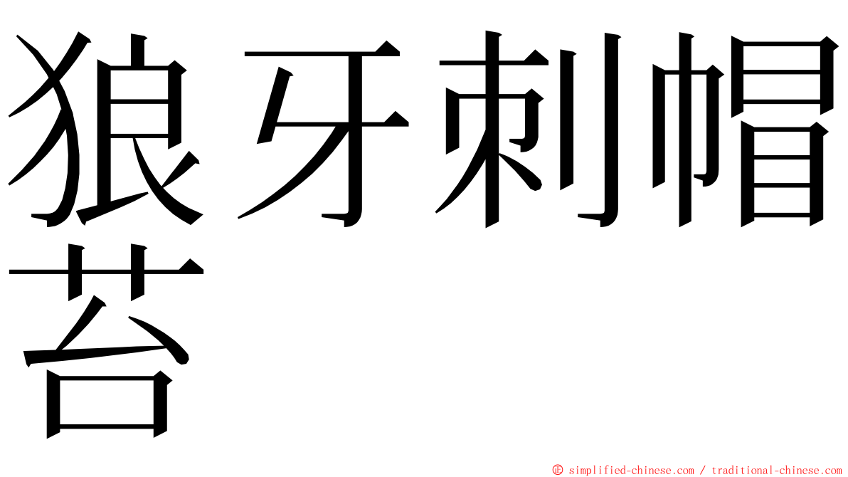 狼牙刺帽苔 ming font