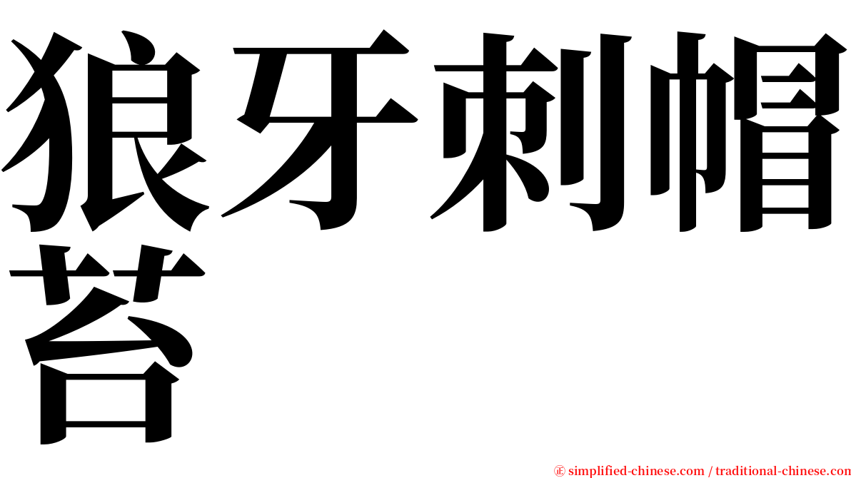 狼牙刺帽苔 serif font