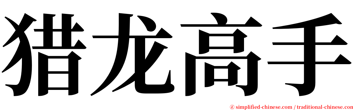 猎龙高手 serif font