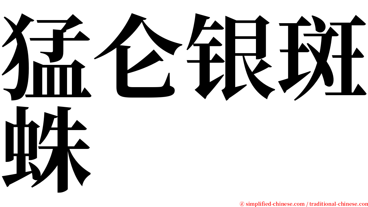 猛仑银斑蛛 serif font