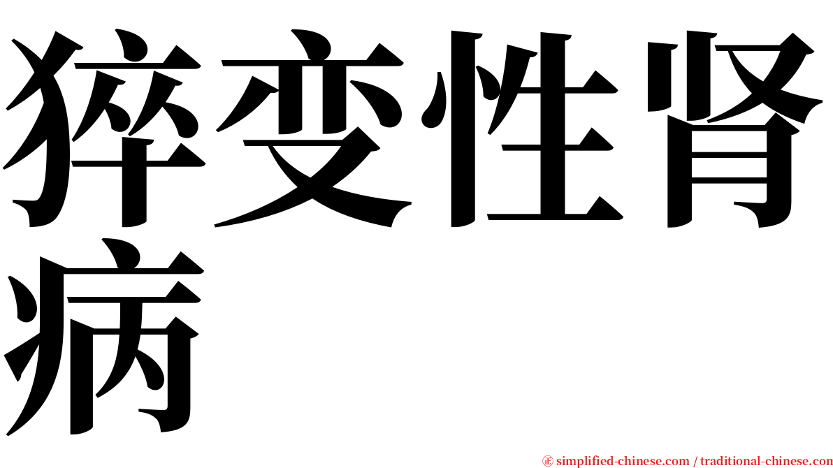 猝变性肾病 serif font