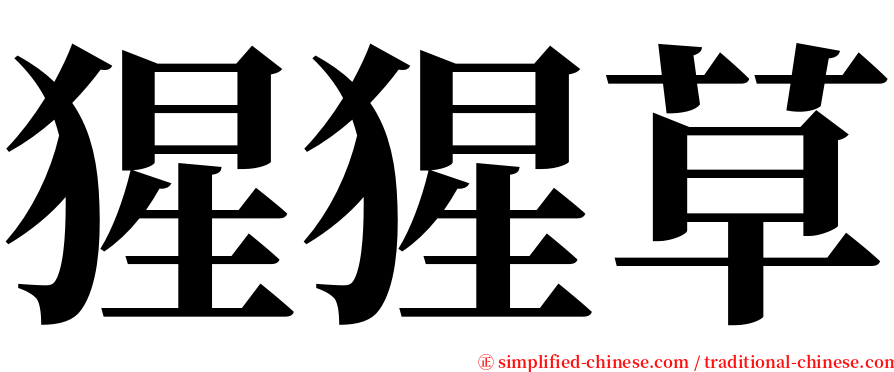 猩猩草 serif font