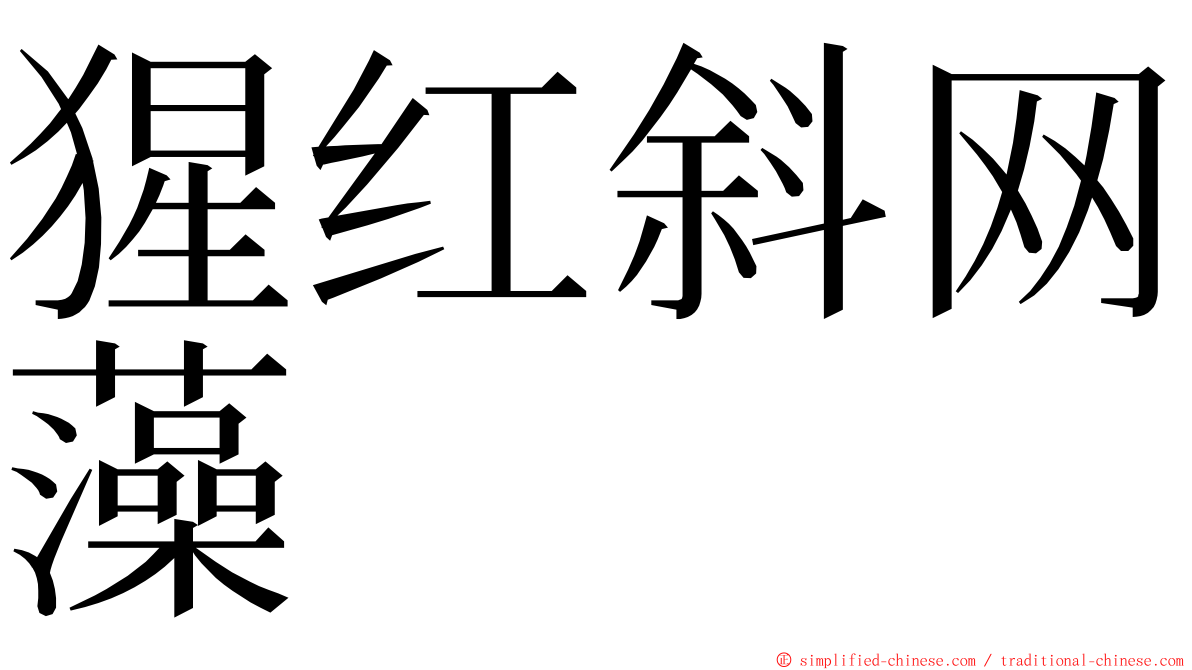 猩红斜网藻 ming font