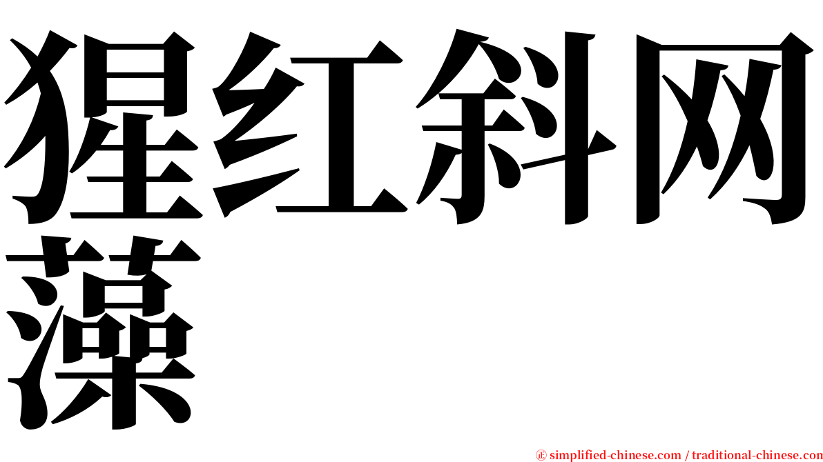 猩红斜网藻 serif font