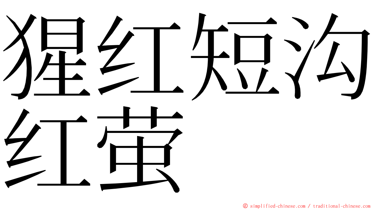 猩红短沟红萤 ming font