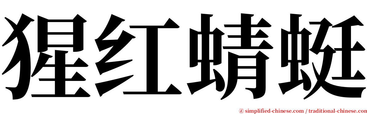 猩红蜻蜓 serif font