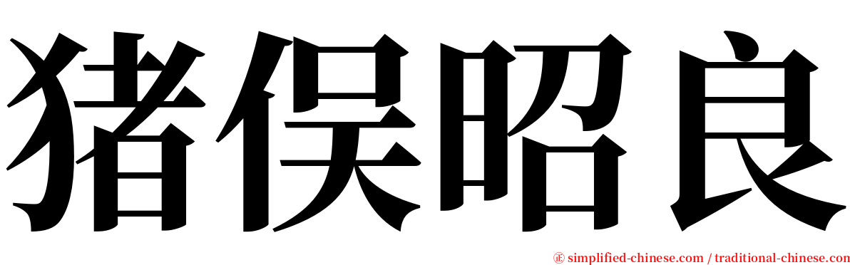 猪俣昭良 serif font