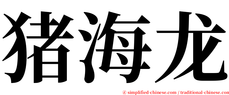 猪海龙 serif font