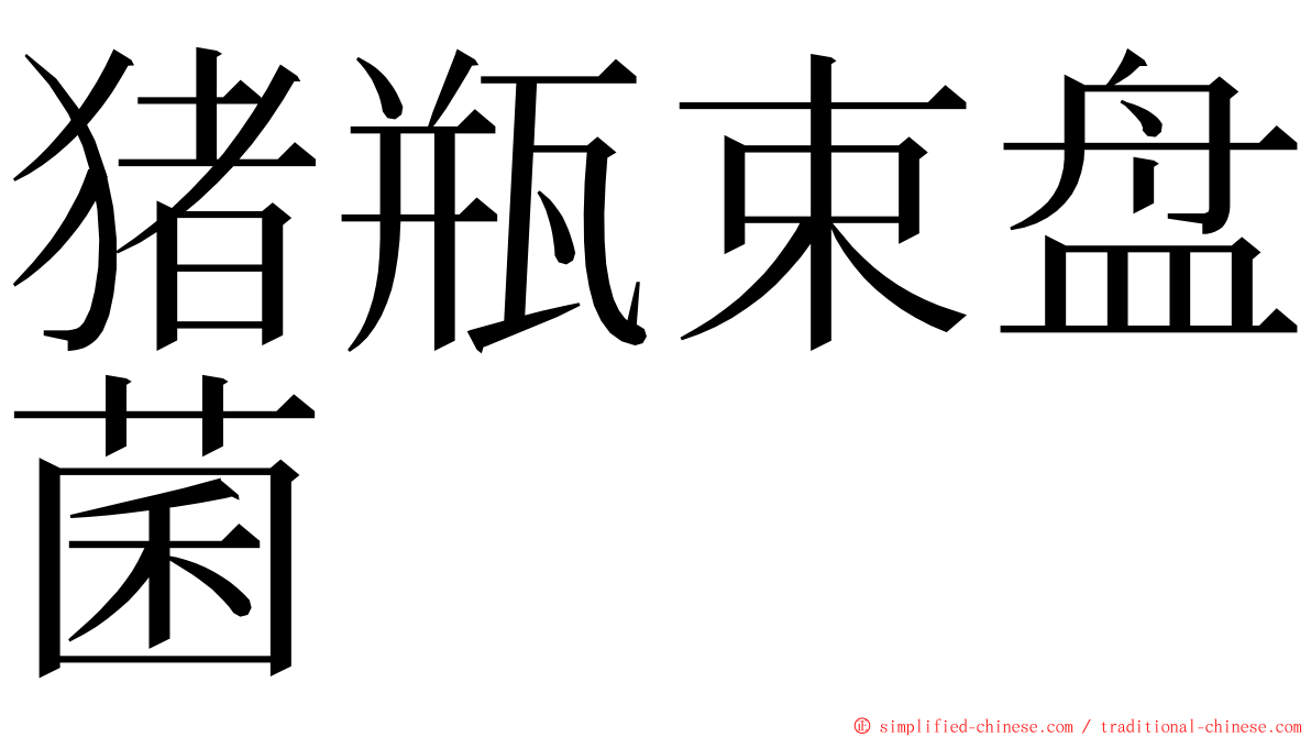 猪瓶束盘菌 ming font