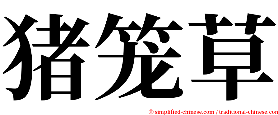 猪笼草 serif font