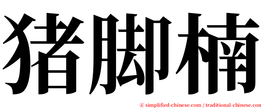 猪脚楠 serif font