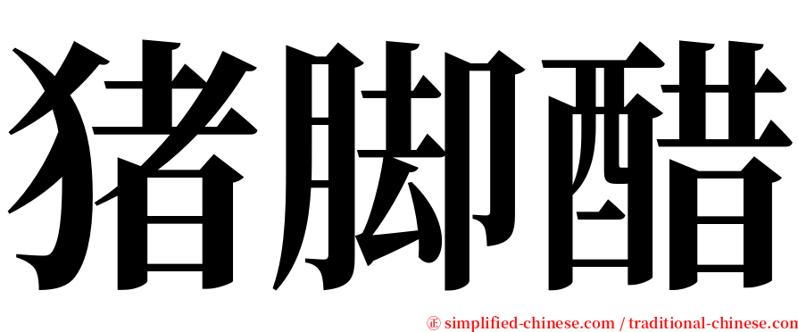 猪脚醋 serif font