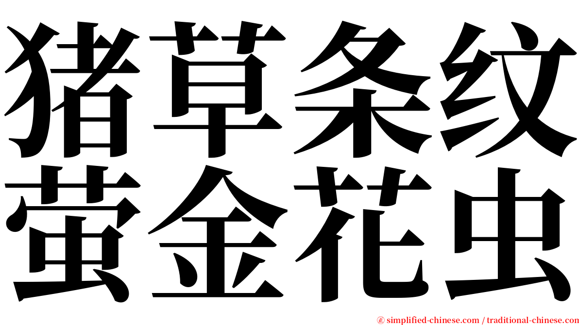 猪草条纹萤金花虫 serif font