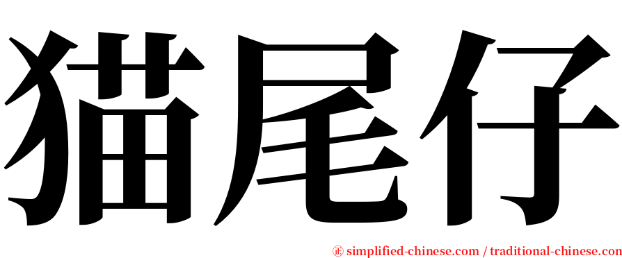 猫尾仔 serif font