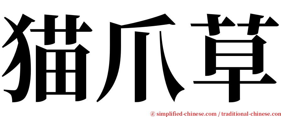 猫爪草 serif font