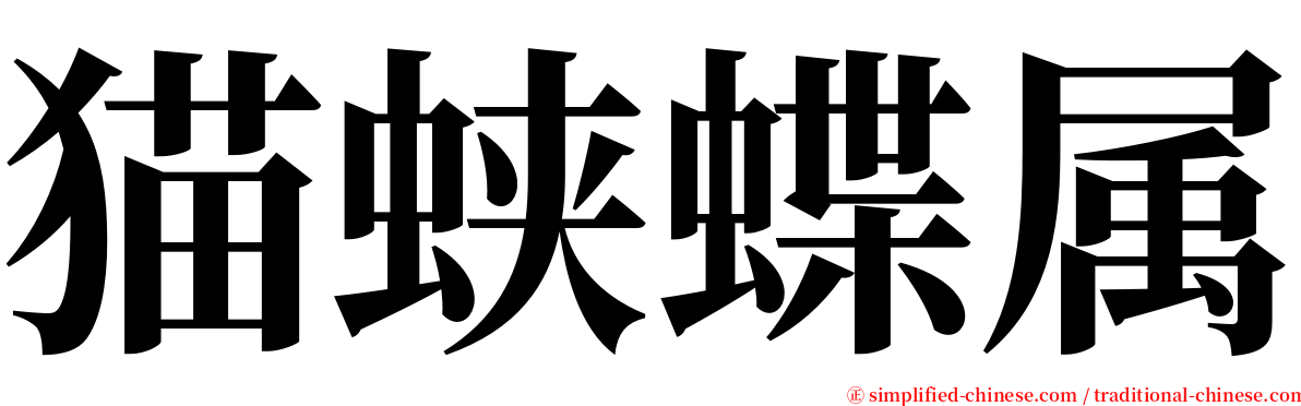 猫蛱蝶属 serif font
