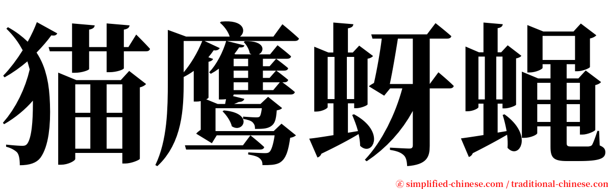 猫鹰蚜蝇 serif font