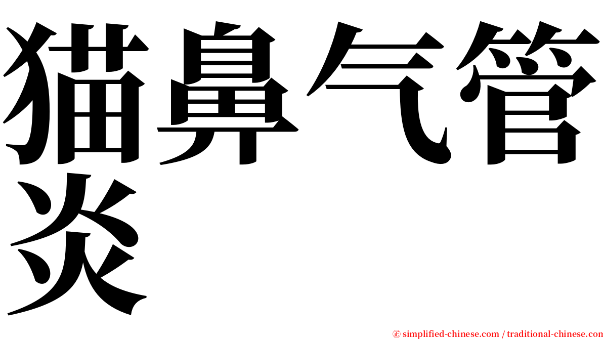 猫鼻气管炎 serif font