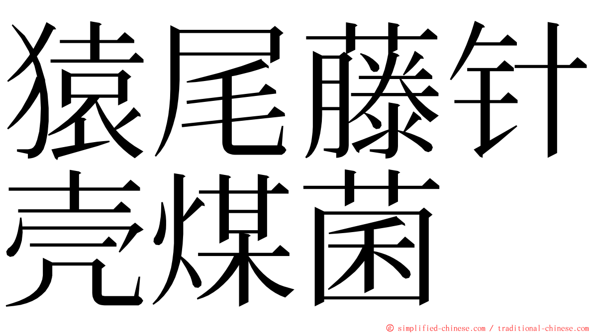 猿尾藤针壳煤菌 ming font