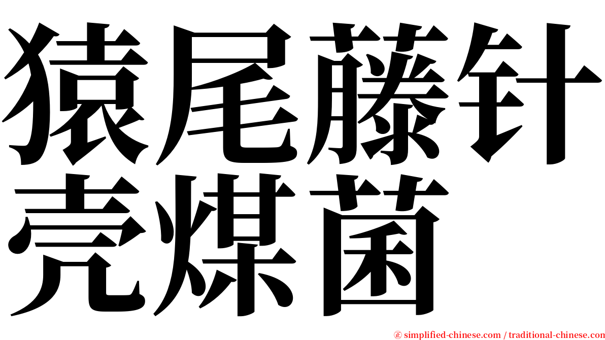 猿尾藤针壳煤菌 serif font