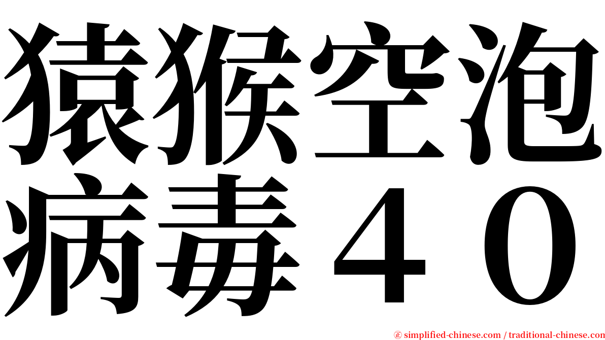 猿猴空泡病毒４０ serif font