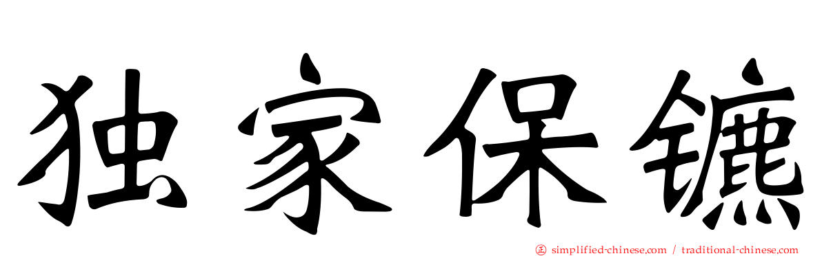 独家保镳