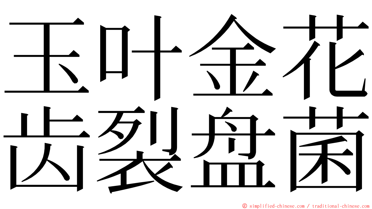 玉叶金花齿裂盘菌 ming font