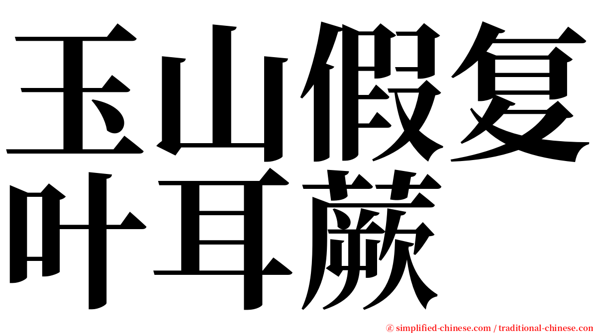 玉山假复叶耳蕨 serif font