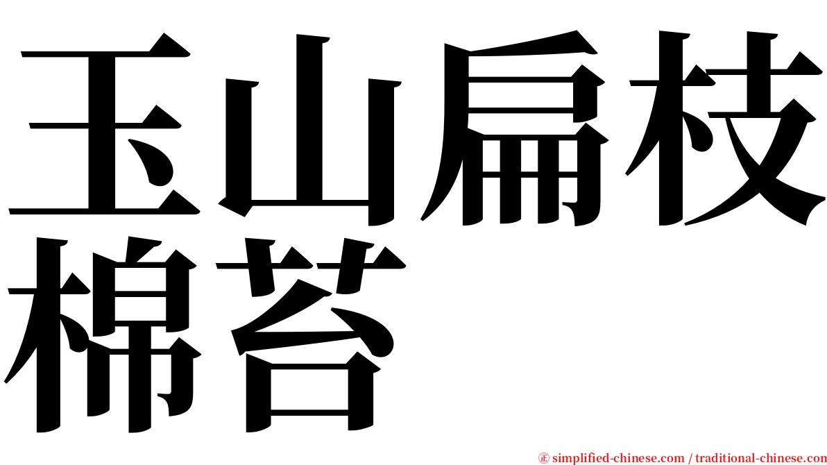 玉山扁枝棉苔 serif font