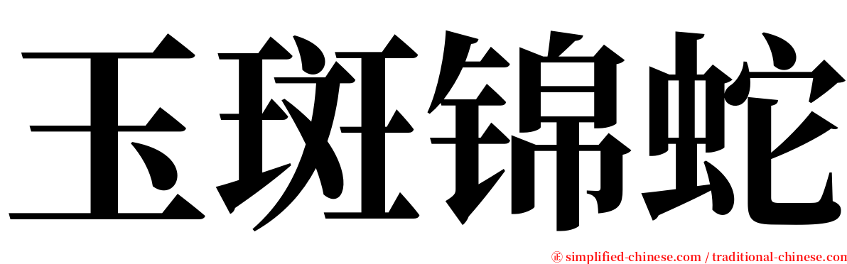 玉斑锦蛇 serif font