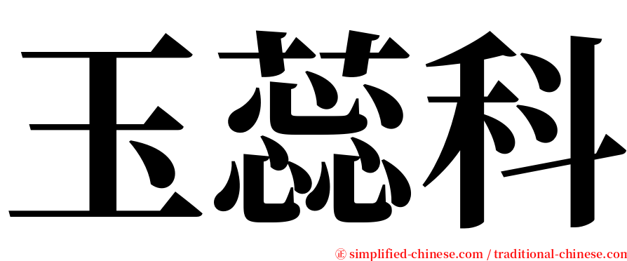 玉蕊科 serif font