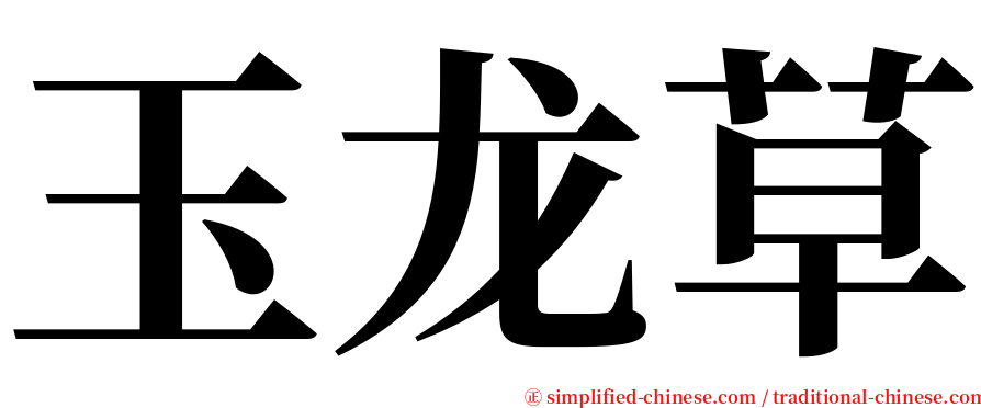 玉龙草 serif font