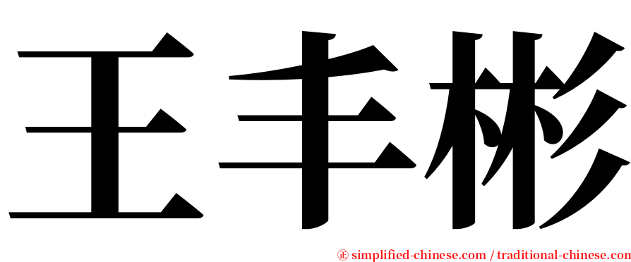 王丰彬 serif font