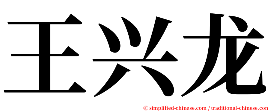 王兴龙 serif font