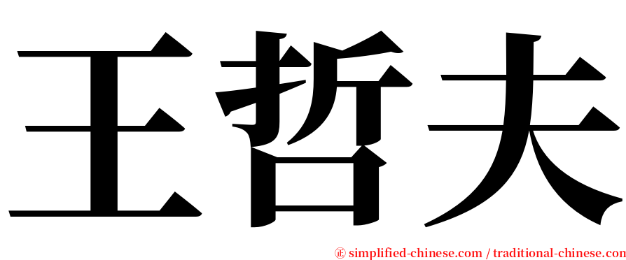 王哲夫 serif font