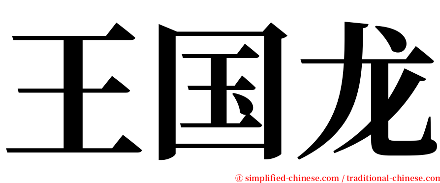 王国龙 serif font