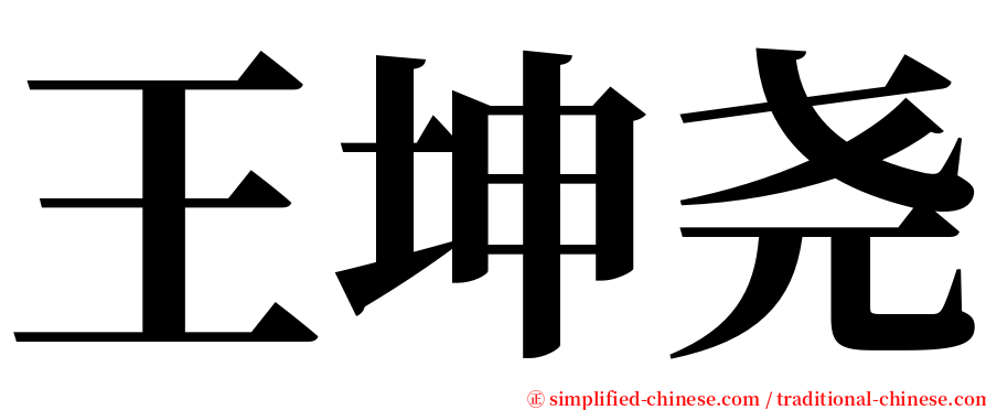 王坤尧 serif font