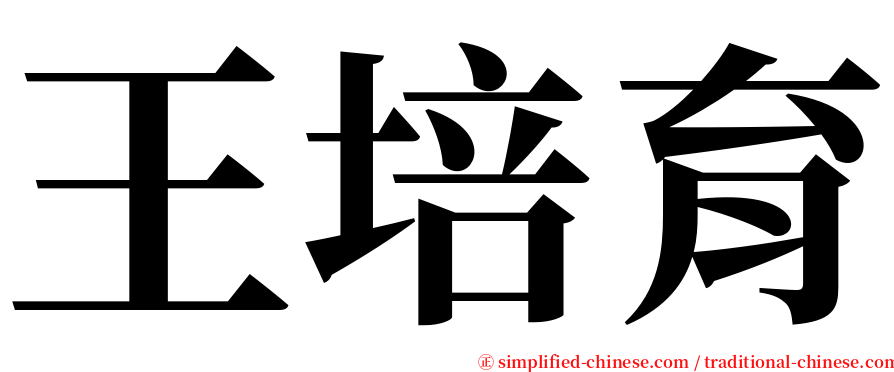 王培育 serif font