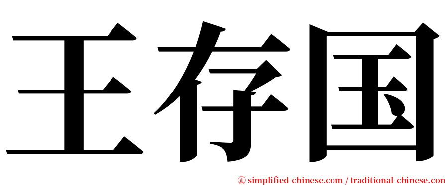 王存国 serif font