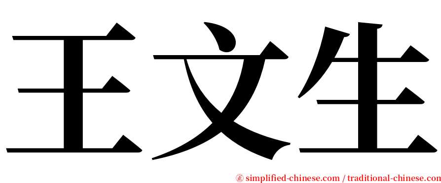 王文生 serif font