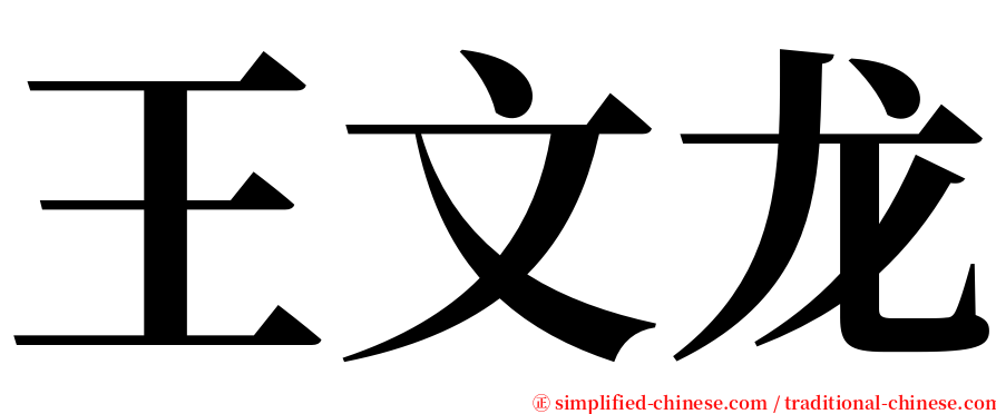 王文龙 serif font
