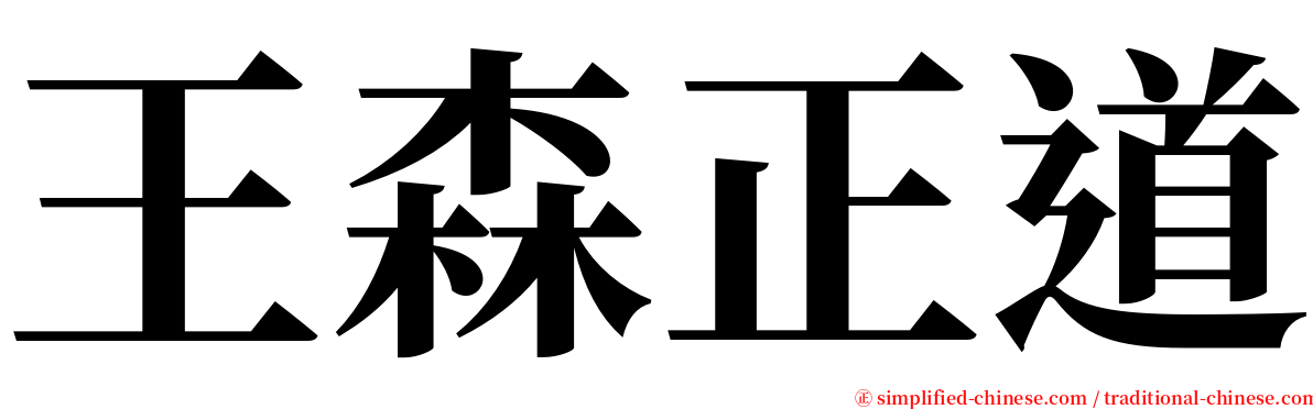 王森正道 serif font