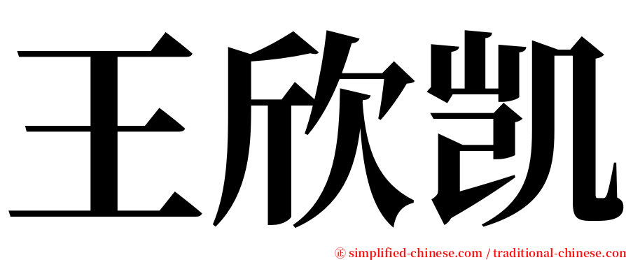 王欣凯 serif font