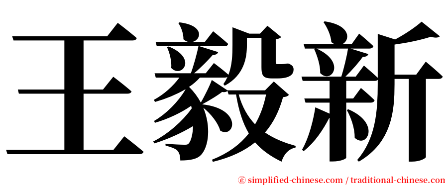 王毅新 serif font