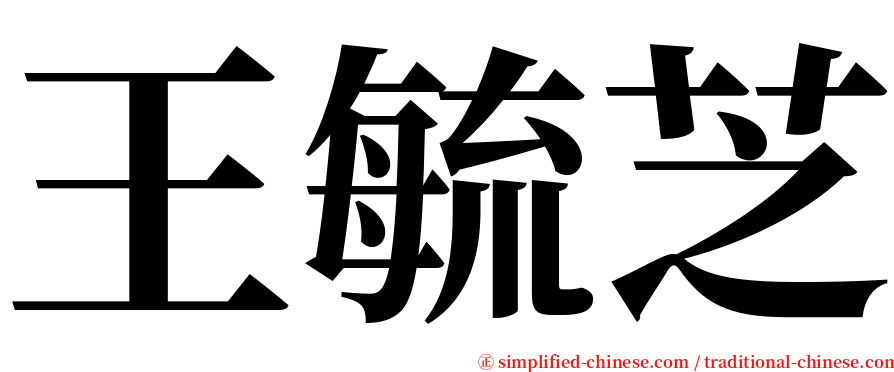 王毓芝 serif font
