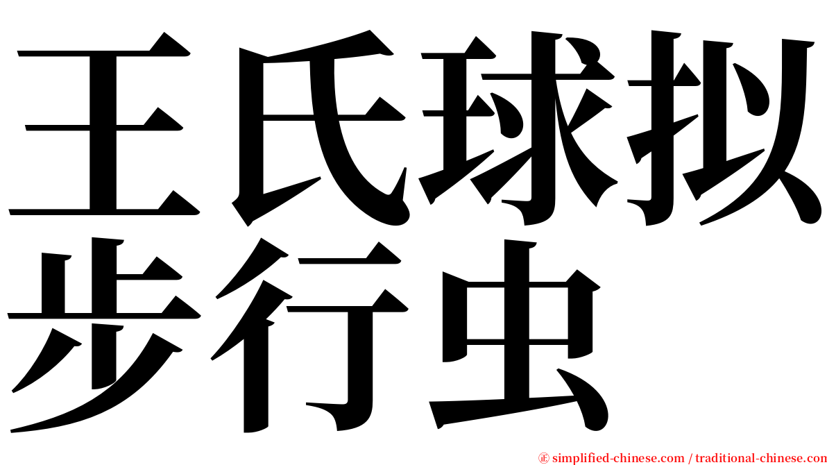 王氏球拟步行虫 serif font