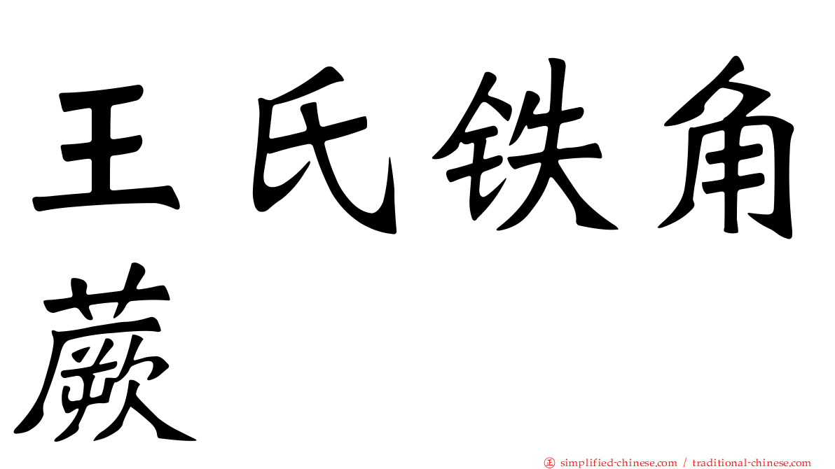 王氏铁角蕨