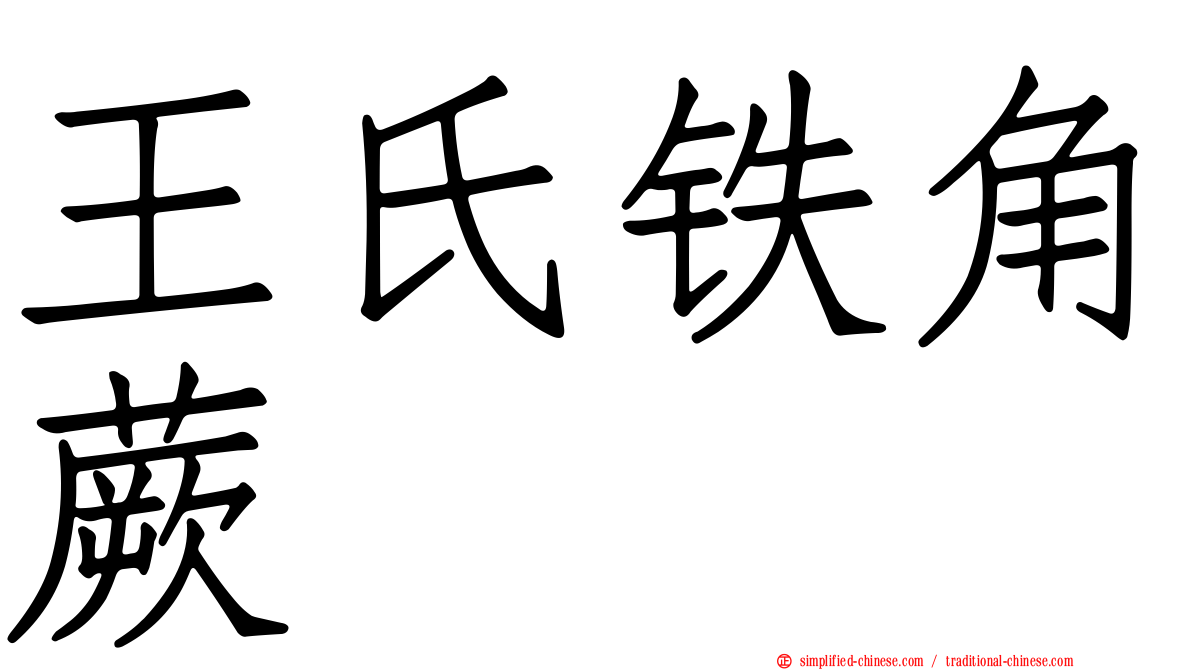王氏铁角蕨